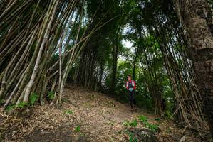 BIB: 
                            <button type="button" onclick="openModal(19395880)" class="btn btn-primary btn-sm float-right btn-popup" data-toggle="modal" data-target=".modal-high-quality">
                        <i class="fas fa-shopping-cart"></i> Add to Cart
                    </button>
                                            <button type="button" onclick="isThisMe(19395880, true)" class="btn btn-success btn-sm float-right btn-popup btn-isme hidden" data-toggle="tooltip" data-placement="bottom" title="นี่คือรูปของคุณใช่ไหม คลิกที่นี่เพื่อเอาเข้าอัลบั้ม">
                        <i class="fas fa-plus"></i> Add to album
                    </button>
                    <button type="button" onclick="isThisMe(19395880, false)" class="btn btn-warning btn-sm float-right btn-popup btn-isnotme hidden">
                        <i class="fas fa-ban"></i> Remove from album
                    </button>